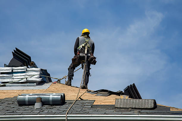 Professional Roof Replacement technician working in Morton, IL
